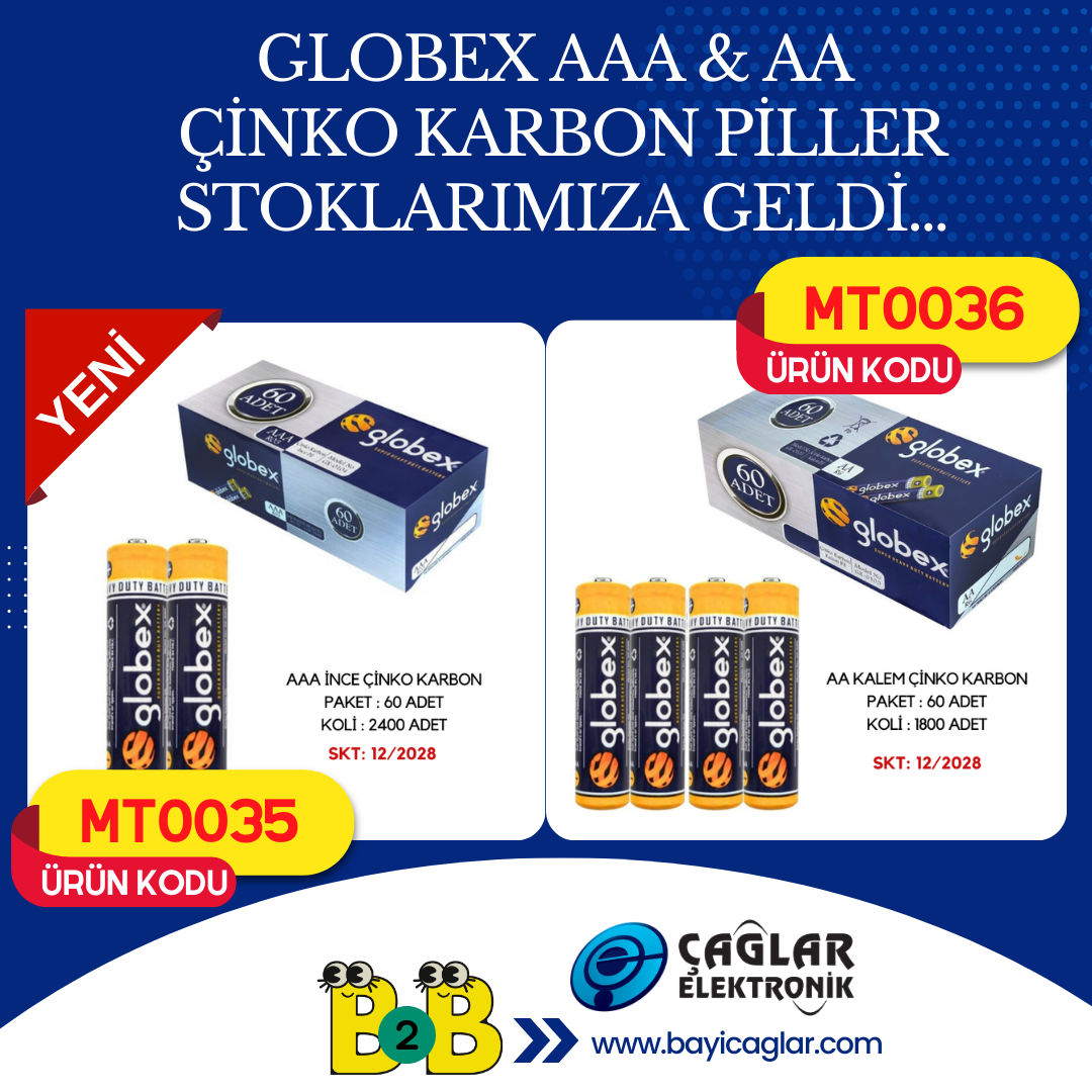 GLOBEX ÇİNKO KARBON KALEM PİLLER 